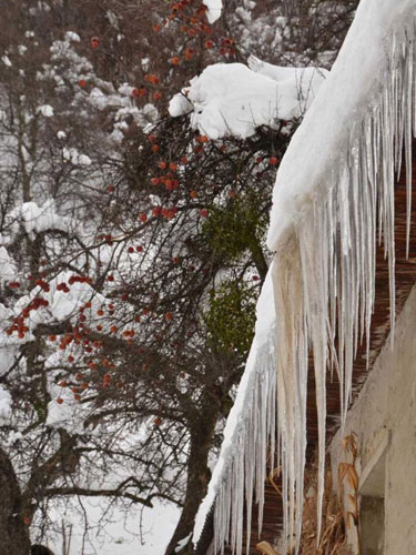 Foto Gheata in Chiuzbaia (c) Lucian Petru Goja